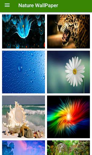 Nature Wallpaper screenshot 2
