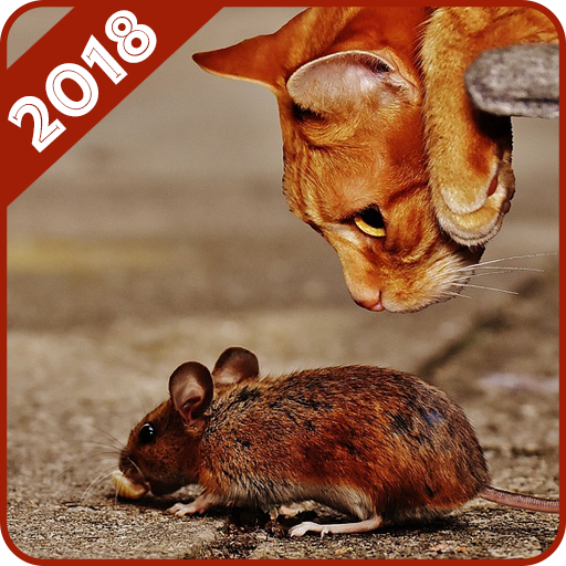 Funny Animals icon