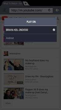 Video Browser for Sony TV screenshot 6