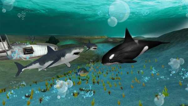 Hungry Shark Attack : Wild 2020 screenshot 4