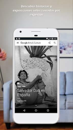 Google Arts & Culture screenshot 7
