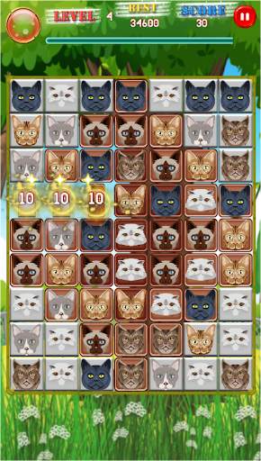 Cat Pop screenshot 4