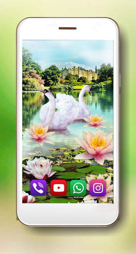 Swans and Lilies LWP स्क्रीनशॉट 4
