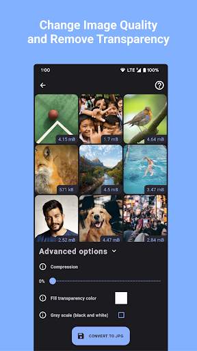 Convert Images to JPG JPEG screenshot 3