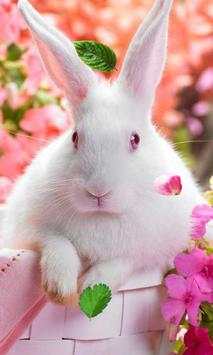 Spring Animals live wallpaper screenshot 1