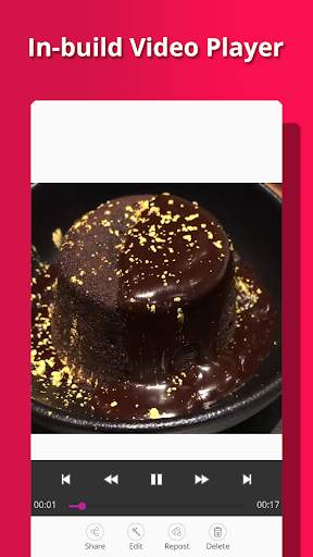 Instant Saver - Repost Photo and Video Downloader screenshot 5