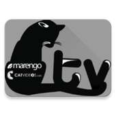 CAT TV