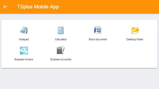 TSplus Remote Desktop screenshot 6