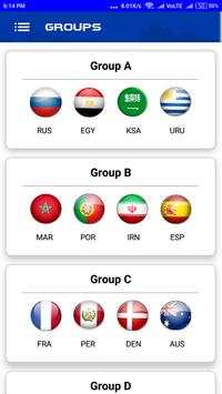 FIFA world cup 2018 screenshot 3