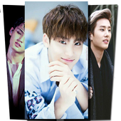 BTS Wallpeper icon