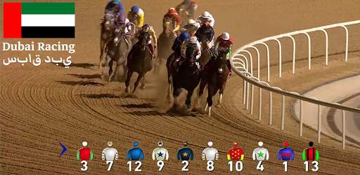 Dubai Sports TV: Live Sports TV screenshot 4