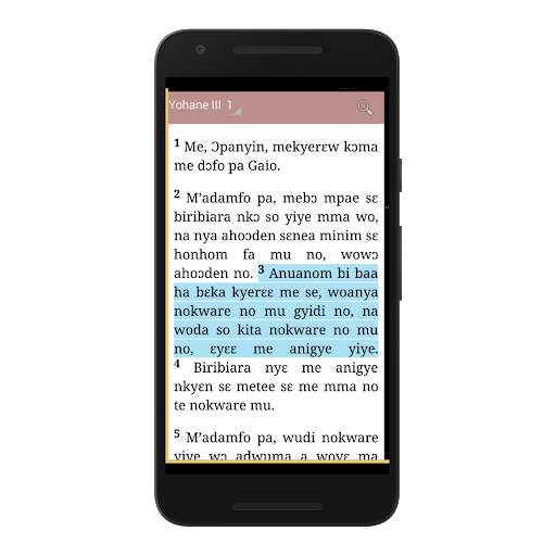 TWI BIBLE (NKWA ASEM) скриншот 2