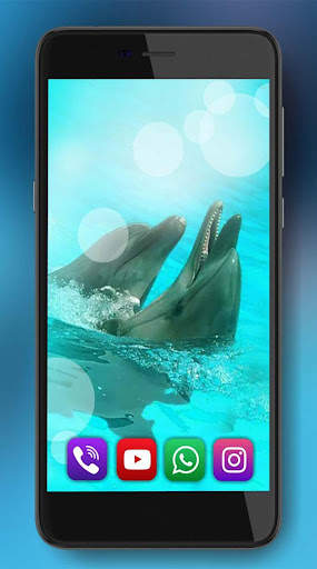 Dolphins Live Wallpaper screenshot 2
