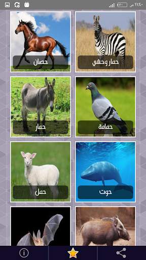 أصوات الحيوانات مع إسم كل صوت باللغة العربية screenshot 4