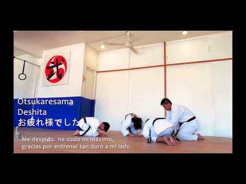 Karate Do MX 1 تصوير الشاشة