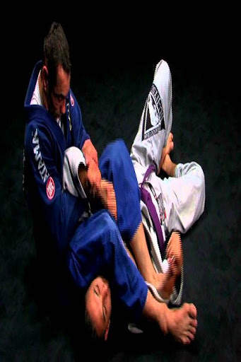Jiu Jitsu Guide скриншот 2