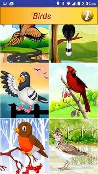 Birds Pictures Game for Kids screenshot 8