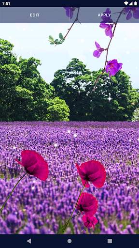 Flowers Live Wallpaper screenshot 7