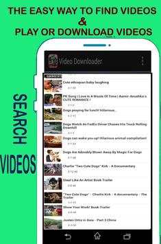 Fast Video Downloader screenshot 2