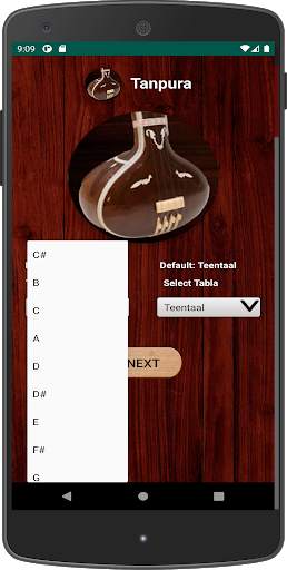 Tanpura screenshot 3
