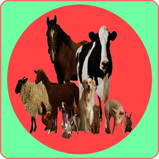 Animal anatomy physiology 1.1