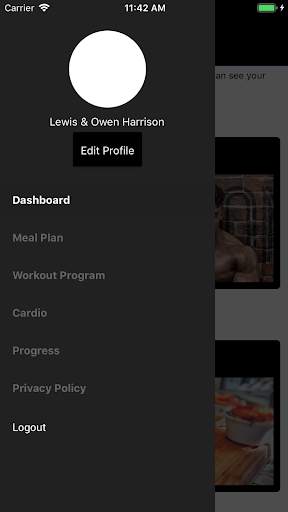 Harrison Twins screenshot 3