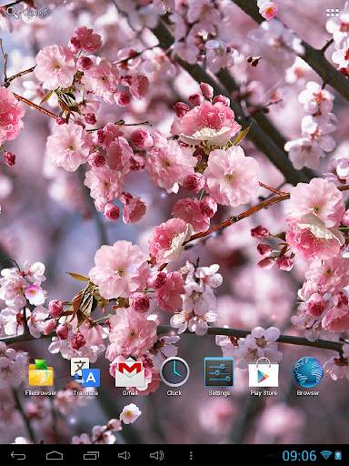 Sakura Live Wallpaper screenshot 5