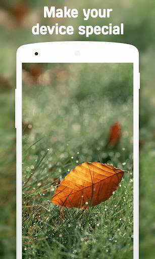 Autumn Wallpaper (4k) screenshot 14