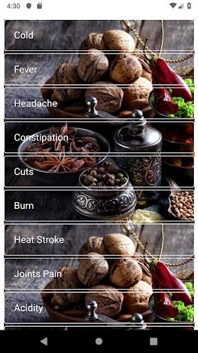Ayurveda screenshot 2