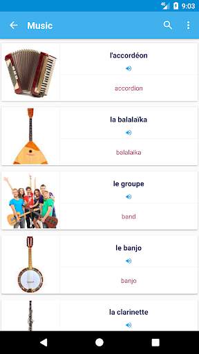 French Vocabulary By Topics (With Pictures) screenshot 4