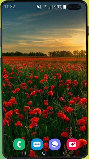 Flowers Wallpaper Best HD screenshot 2