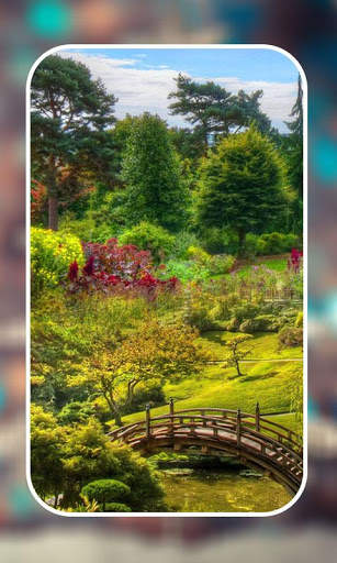 Garden Live Wallpapers screenshot 4