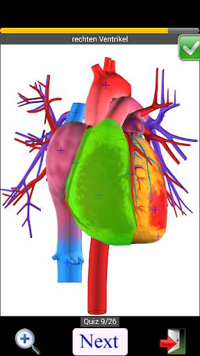 Anatomy Quiz screenshot 2