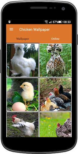 Chicken Wallpaper screenshot 1