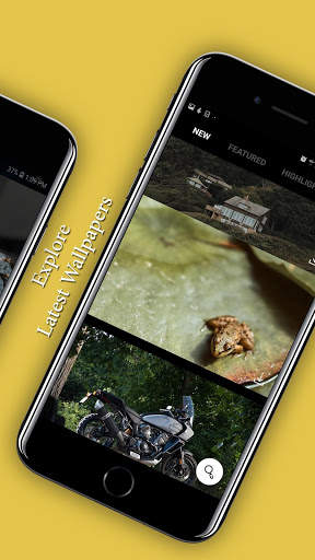 Wall - Image editor: Filters, Stickers, Wallpapers screenshot 4