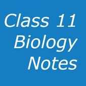Class 11 Biology Notes