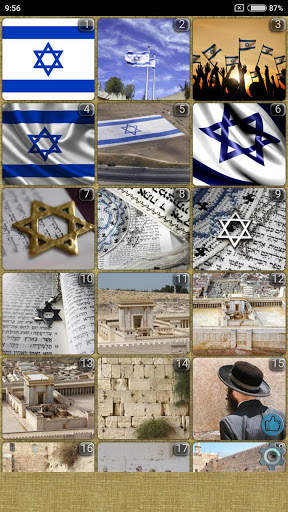 Israel WVGA Wallpaper screenshot 1