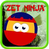 Zet Ninja icon