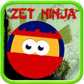 Zet Ninja 1.0