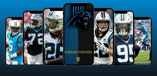 Carolina Panthers Wallpaper 4K screenshot 1
