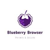 Blueberry Private Browser - Fast And Secure 1.0