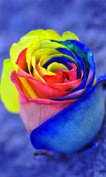 Flower Wallpapers 2020 screenshot 3
