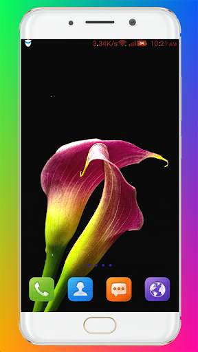 Flower Wallpaper HD screenshot 3