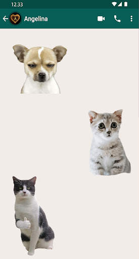 Animals Stickers WASticker screenshot 4