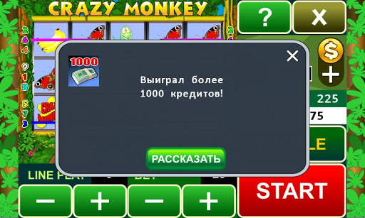 Crazy Monkey slot machine скриншот 6