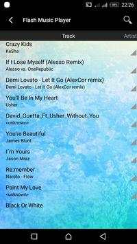 Flash Music Player screenshot 1