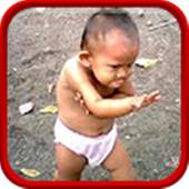 Top Funny Vidoes HD 1.0