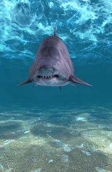 Shark Attack screenshot 5