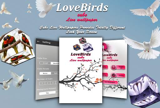 Love Bird cube live wallpaper screenshot 1