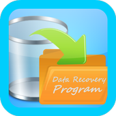 ikon Data Recovery Program
